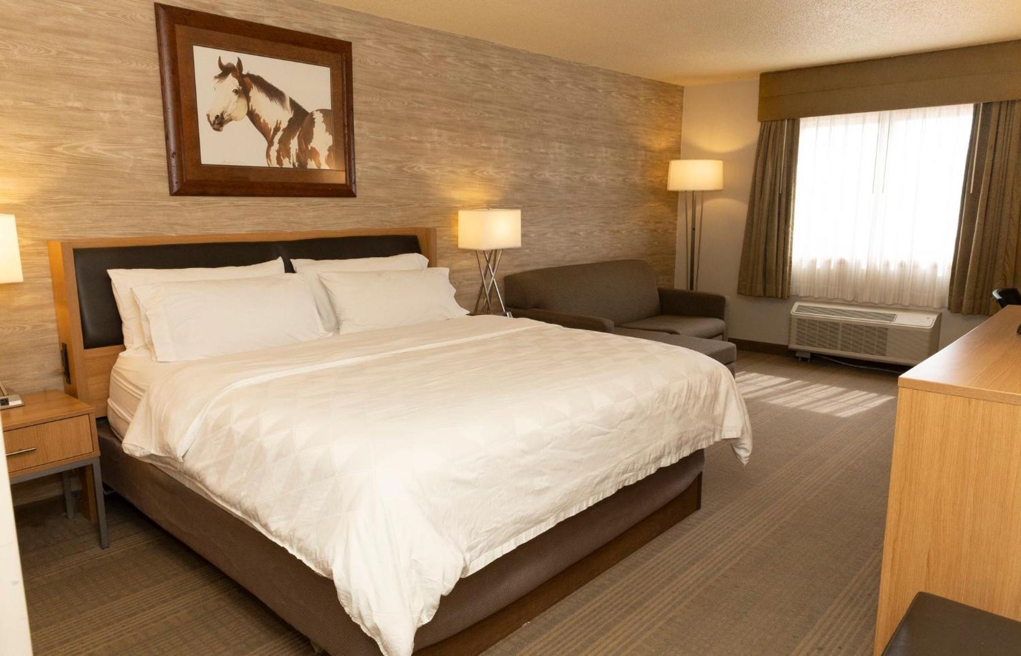 Holiday Inn Spearfish-Convention Center By Ihg Extérieur photo